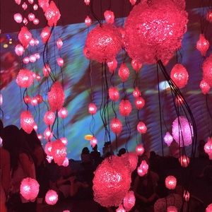 Meet your Posher, Melanie